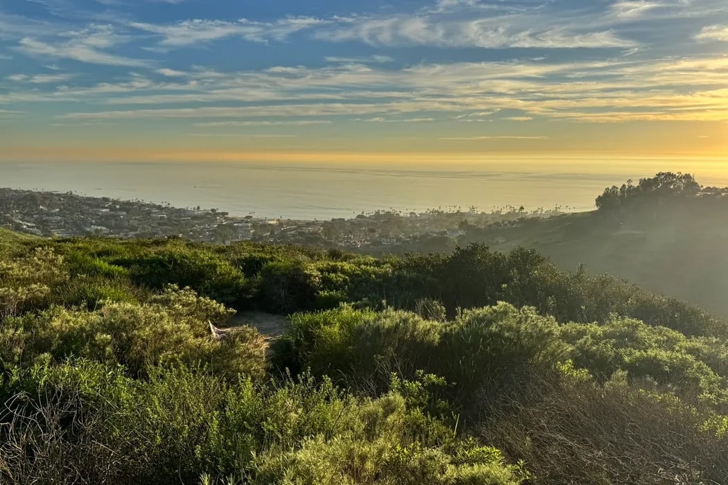 Explorers Hike: Laurel Canyon Loop 4